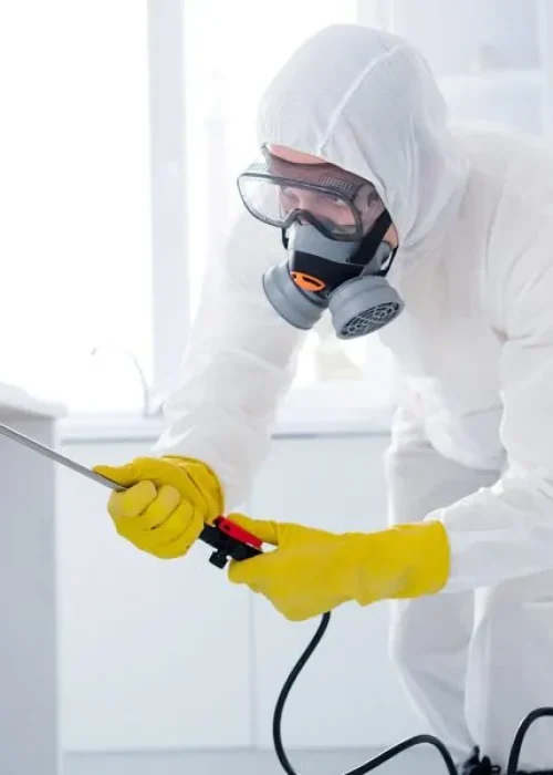 Desinsectación (DS)